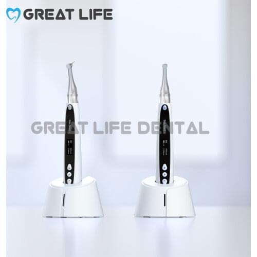 Dental Equipment New Generation Brushless Cordless Woodpecker Endo Smart + Woodpecker Endomotor Dental Endo Motor