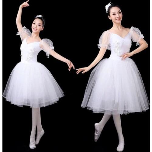 New style ballet skirt adult performance clothes female Swan Lake pettiskirt ballet one-piece gauze skirt dance practice clothes