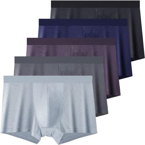 Underwear Men 5Pcs/Set Underpants Mens Sexy Panties With Hole Mesh Plus Large Size Shorts Cotton Crotch Brand Man Boxer Uomo