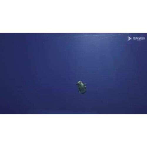 QYSEA FIFISH V6 Underwater Drone + 100M Cable + Spool + 64G Internal Storage Bundle