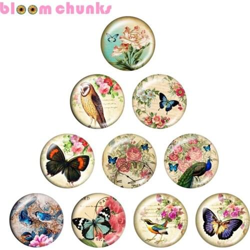 Retro Butterfly owl 10pcs mixed 12mm/18mm/20mm/25mm Round photo glass cabochon demo flat back Making findings S1526