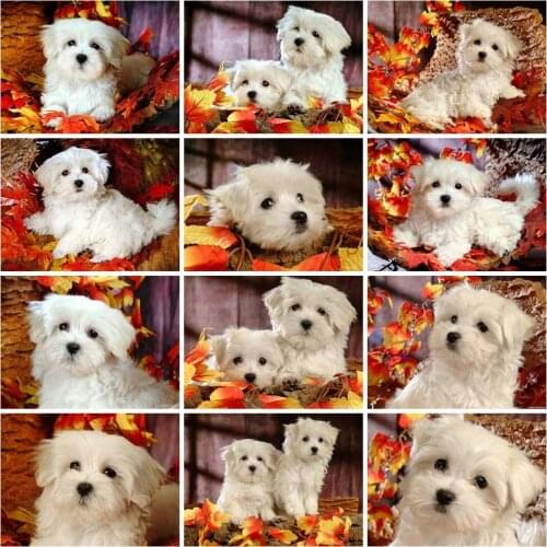 EverShine Diamond Embroidery Dog Cross Stitch Diamond Mosaic Animals Picture Rhinestones Art Painting Kits Handicraft Home Decor