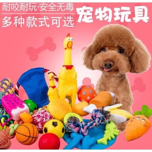 Suit Pet-Toy Dog Cat Molar Squeak Basketball Vegetables Chicken Leg Hamburger Flip Flop Screaming Chicken Bite Resistant Clean