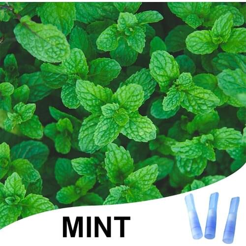 12 PCS Menthol Tube Filter Tips Food Grade Silicone Cigarette Holder Multi-flavored Healthy Filter Smoking Accessories Tools