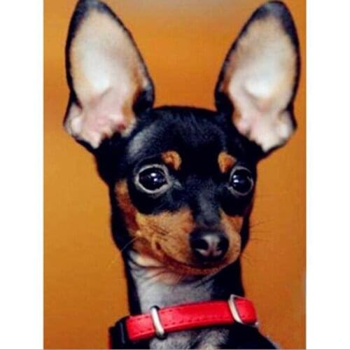 New Hot DIY Diamond Painting Animal Dog Wolf 5d Diamond Embroidered Square Rhinestone Painting Diamond Inlaid Decoration Gift