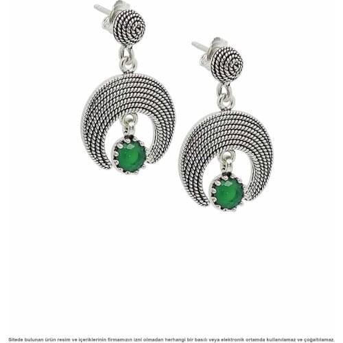 Silver Crescent Womens Earrings