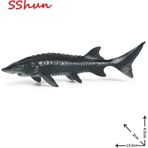 15.5*3*4.5cm Children simulation freshwater fish marine animal model sturgeon Chinese sturgeon model toy plastic decoration