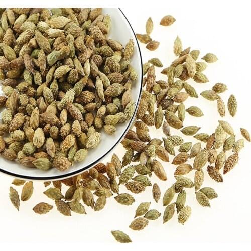 High quality Xanthium Fructus Xanthii, Cang er zi, free shipping