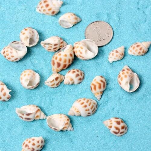 MOVING FOREST Decorative Seashells