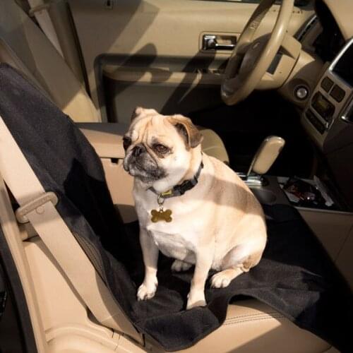 Petzoom Home And Garden Products