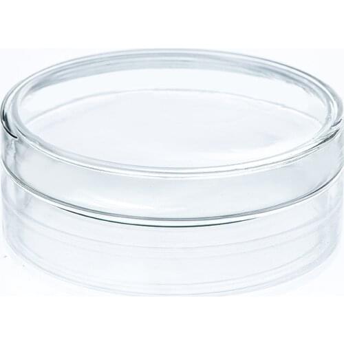 Borosilicate Glass Petri Dishes Bacteria Petri Dishes 60mm High Temperature Biological Test Equipment Glass Plates