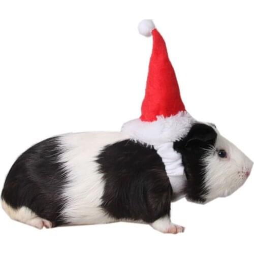 Pet Santa Claus Hat Rabbit Hamster Rats Christmas Cap Small Animals Head Accessories