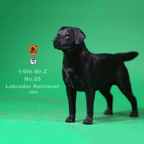 1/6 scale Z. Mr.Z about 24 cm simulation animal standing and walking Labrador dog model toy 12' movable doll scene decoration