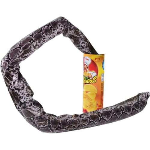 The Potato Chip Snake Can Jump Stage Magic Tricks Spring Snake Toy April Fool Day Halloween Party Jokes in A Can Gag Gift
