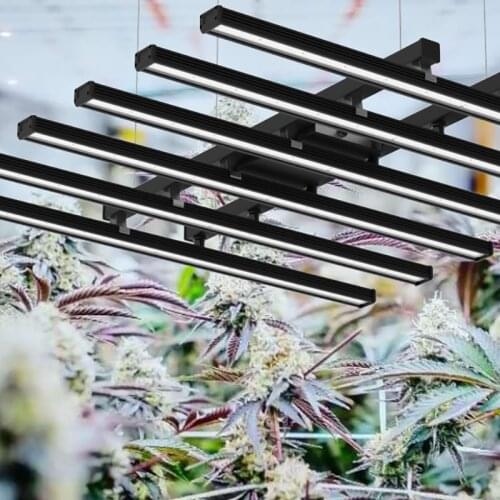Ourving LED Plant Lamps