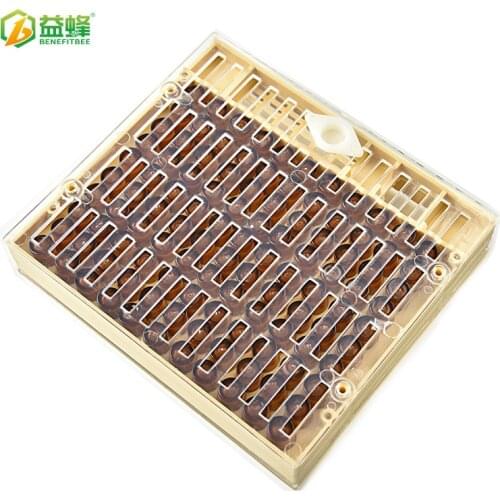 Beekeeping tools bee insect-free shift Wang is intended to bee queen bee cultivation Yu Wang Tai supporting beehive box