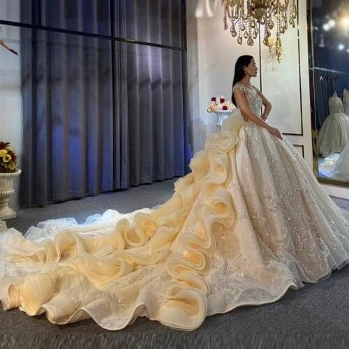 Champagne Luxury Long Train Wedding Dresses Sheer Neck Cap Sleeves Sparkly A Line Bridal Gowns Sexy Open Back Wedding Vestidos