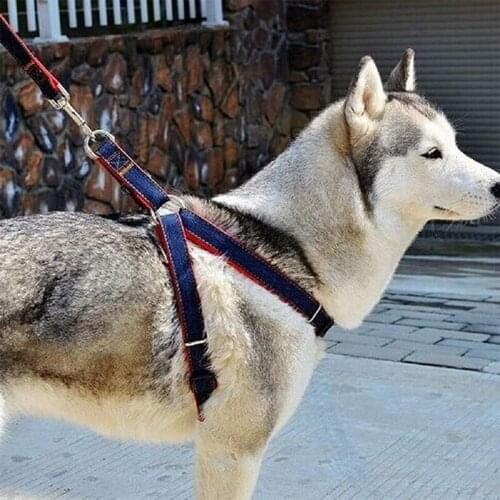 Dogs Supplies Harnesses Accessories Dog Collar Leads Adjustable Denim Pet Collars Puppy Pet Products