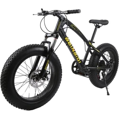 20 Inch Fat Bike / Snow Bike,4.0 Width Wheel,High Carbon Steel Frame,Aluminum Alloy Rim, Hydraumatic Disc Brakes,7 Speed