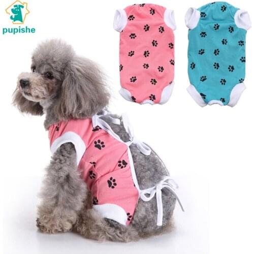 Pupishe Dog Accessories