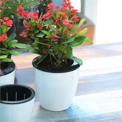 Automatic Water-absorbin Flower Plants Pot Bonsai Put In Floor Irrigation Garden Home Decoration Plant Hydroponic Flower Pots