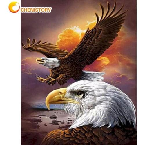 CHENISTORY Two Eagles Animal Painting By Numbers Kits HandPainted Unique Gift For Adults Acrylic Oil Paint Canvas Bedroom Decor