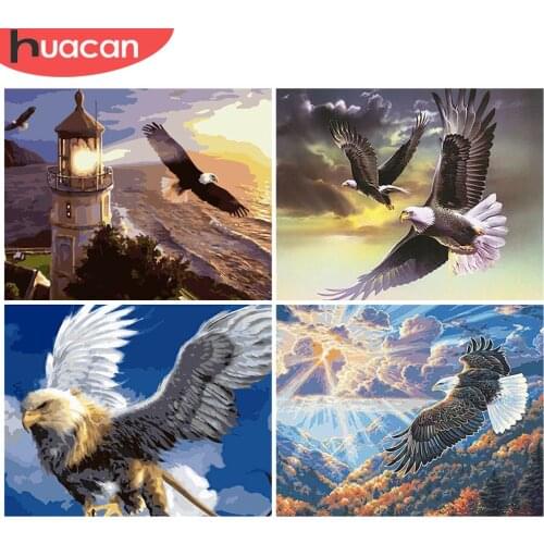 HUACAN Paint By Number Handpainted Wall Art Pictures By Number Eagle Animal Drawing Acrylic Gift Home Decor