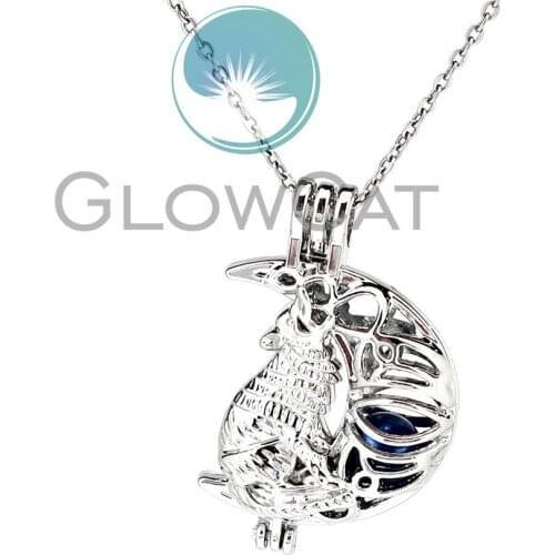Christmas Gift Wolf Moon Beads Cage Locket Pendant Perfume Diffuser Pearl Cage Necklace KK1165