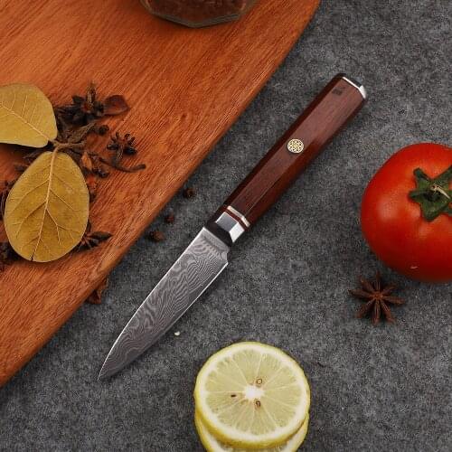3 Inch VG10 Damascus Steel 67-story Kitchen Multifunctional Outdoor Wild Fruit Knife EDC Tool