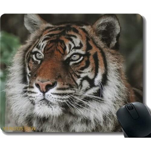 Mouse Pad With Stitched Edge,Tiger Predator Big Cat 66464 Mouse Pads