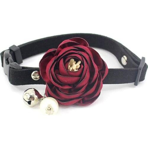 Best selling pet identity pendant dog anti-lost address card Teddy dog identity card can be hanging collar