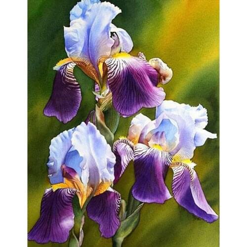 Mosaic Full Resin iris diamond painting Cross Stitch Square Diamond Mosaic Craft Diamond Embroidery Diy Needlework flower TY434