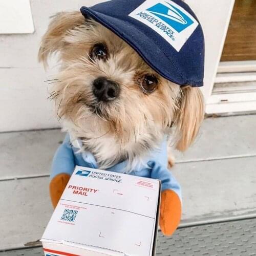 Dog Courier Cosplay Clothes Cat Clothes Funny Pet clothing Role playing Suit Express Package Pirate Suit Halloween Clothes