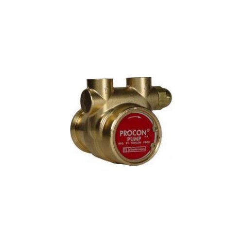 Procon 112A035F11DB130 Rotary Vane Brass Water Pump