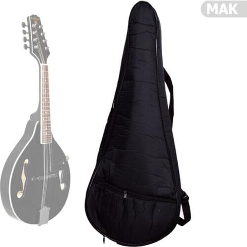Mandolin Accessory Case MAX