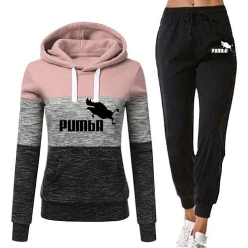 Women Color Two Piece Set 2021 Autumn Winter Running Tracksuit Womens Hooded Sweatshirt Casual Outfits Woman Jogging Sport Suit