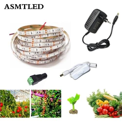 1M 2M 3M 4M 5M LED Grow Light SMD5050 12V Growing LED Strip Plant Growth Light + switch + EU/US Adapter for vegetable greenhouse