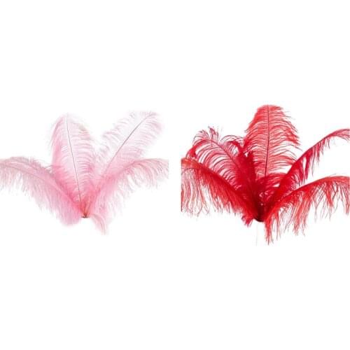 20 Pcs Natural Ostrich Feathers Wedding Party Decoration 20-25cm, Pink & Red