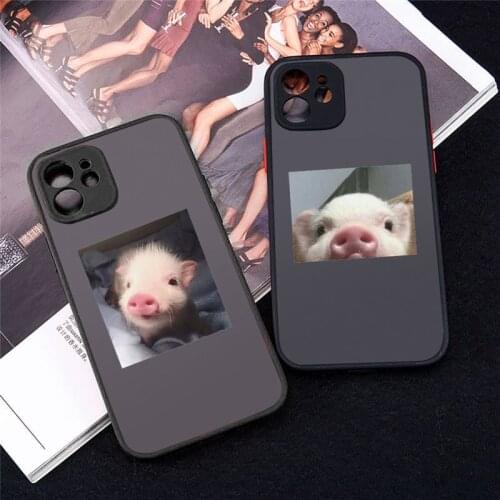 Phone Case For iPhone 12 11 Mini Pro XR XS Max 7 8 Plus X Cute Little Pink Pet Pig Matte transparent cover