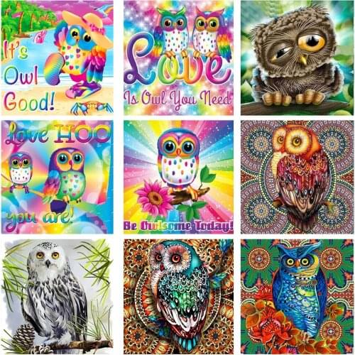 Diamond Painting Owl Diamond Embroidery Mosaic Animal Full Square Drill DIY Children Home Decoration or Adults
