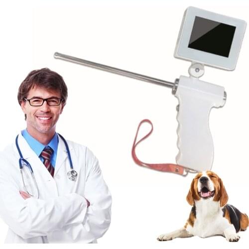 SINOWISE Dog Accessories