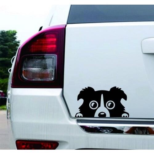 Border Car Reflective Sticker Climbing Dog Decoration Peeking Poodle Body Decal Scratch Car Sticker Funny Sticker