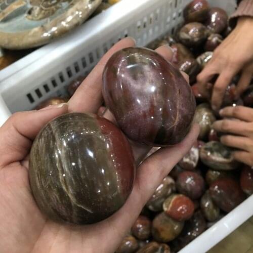 1pcs Natural Polished Woodstone Fossils Crystal Xylopal Palm healing Stone