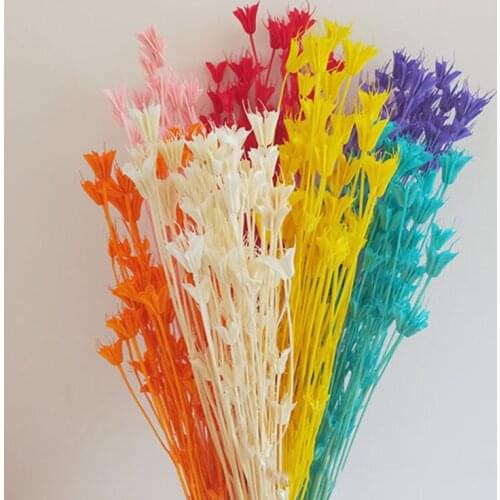 Dried Natural Flowers Branch Colorful Real Preserved Flower DIY Dry Star Anise Flower Bouquet Home Decor Floral Arrangement Mini