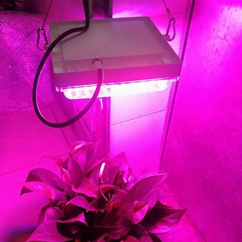 LED grow Light 300W Phyto Lamps Full Spectrum 450+660NM Grow lamps For indoor seedling tent Greenhouse flower fitolamp plant
