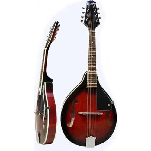 Eight strings mandolin musical instrument with mandolin strings case turner 1set