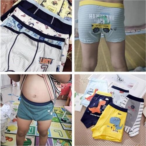 4 Pc/Lot Kids Boys Underwear Cartoon Childrens Shorts Panties for Baby Boxers Teenager Underpants 4-14T