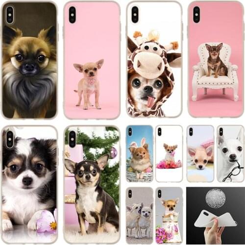Soft silicone Phone Case For iPhone 12 11 Pro 7 8 6 6s Plus XR XS Max cover Mini 5 5S SE 2020 Funda Etui Cases Chihuahua Dog