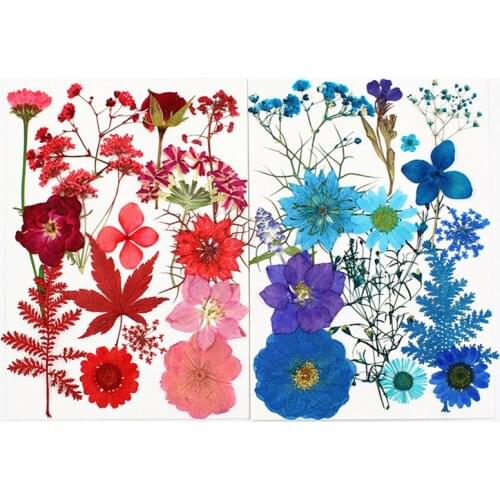 5 Pack Pressed Flower Dry flower material Pack phone case Photo sticker face makeup DIY material