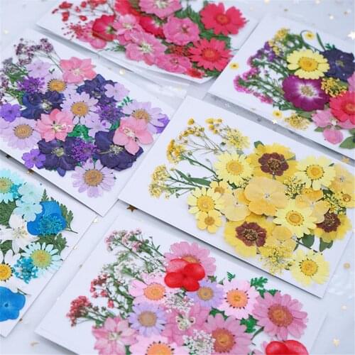HiMISS Scrapbooking Goods